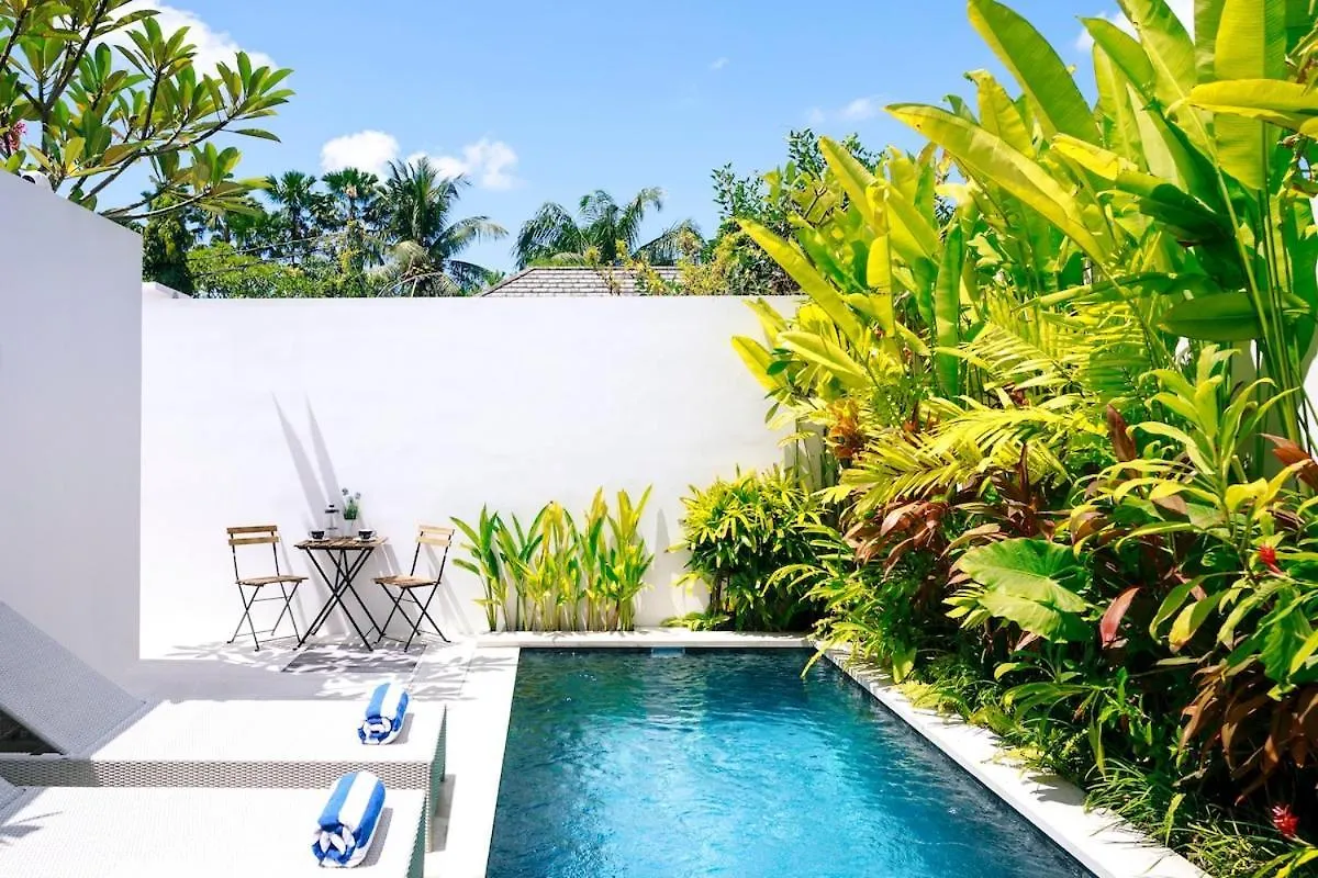 Abby May - Top Location Near Potato Head, Walk Everywhere! Seminyak Indonesia
